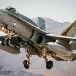 Video: Australian Hornet Ball