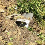 Mid-Air Collision Preliminary Report Released