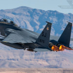 Burner Friday: 335th FS Dark Gray Delight!