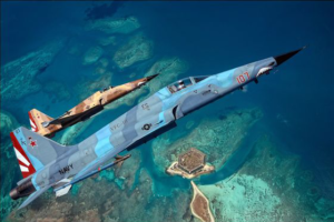 VFC-111 Sun Downers, credit: airshowkeywest.com