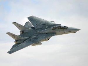 Tomcat WIng Sweep