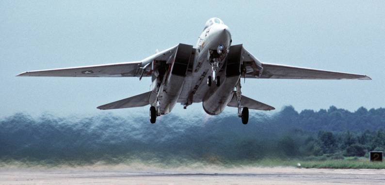 Tomcat On the Go Around