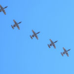 The Pic of the Day: A flock of Warthogs
